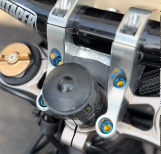Titanium Direct Mount Bolts ( Bottom 4)